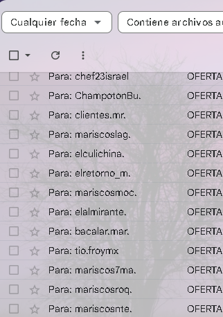 Email Marketing